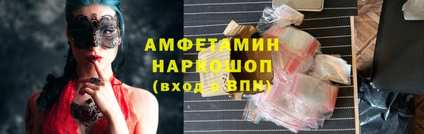индика Михайловск