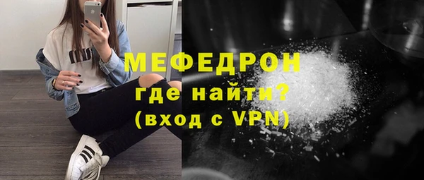 индика Михайловск