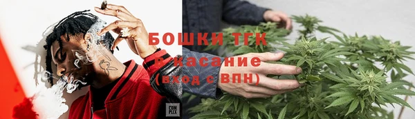 индика Михайловск
