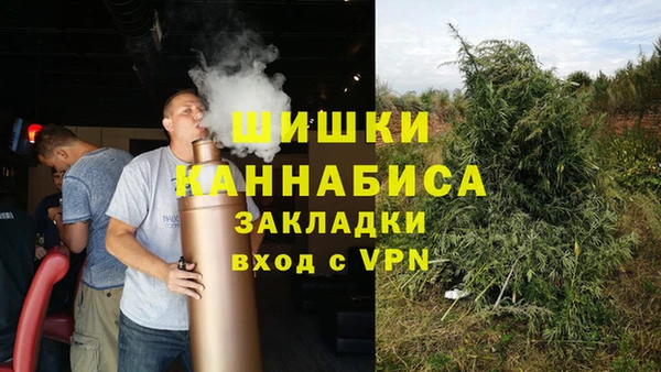 индика Михайловск