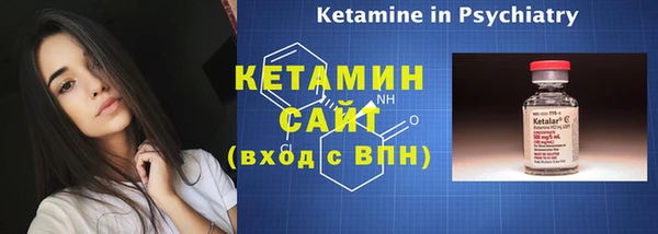 индика Михайловск