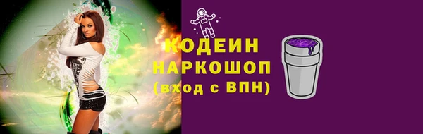 индика Михайловск