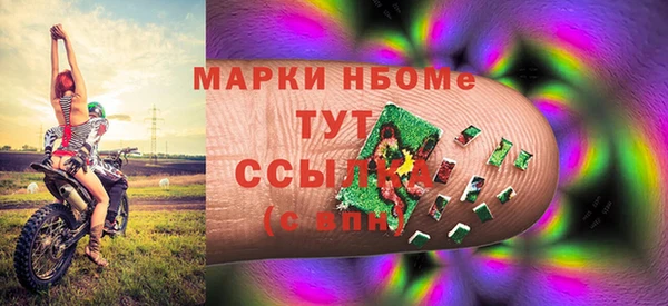 индика Михайловск