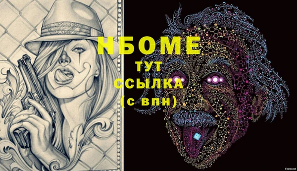 индика Михайловск