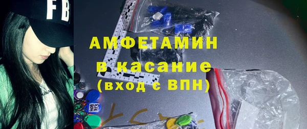 индика Михайловск