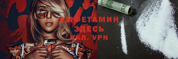 индика Михайловск