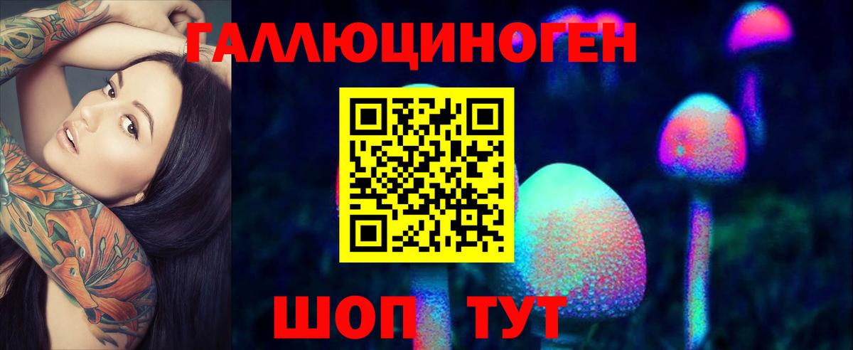 Галлюциногенные грибы Cubensis  Вход с VPN  Псилоцибиновые грибы Cubensis  что такое   Электросталь 